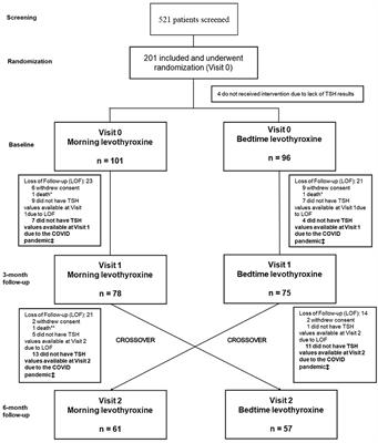 Evaluation of Bedtime vs. Morning Levothyroxine Intake to Control Hypothyroidism in Older Patients: A Pragmatic Crossover Randomized Clinical Trial